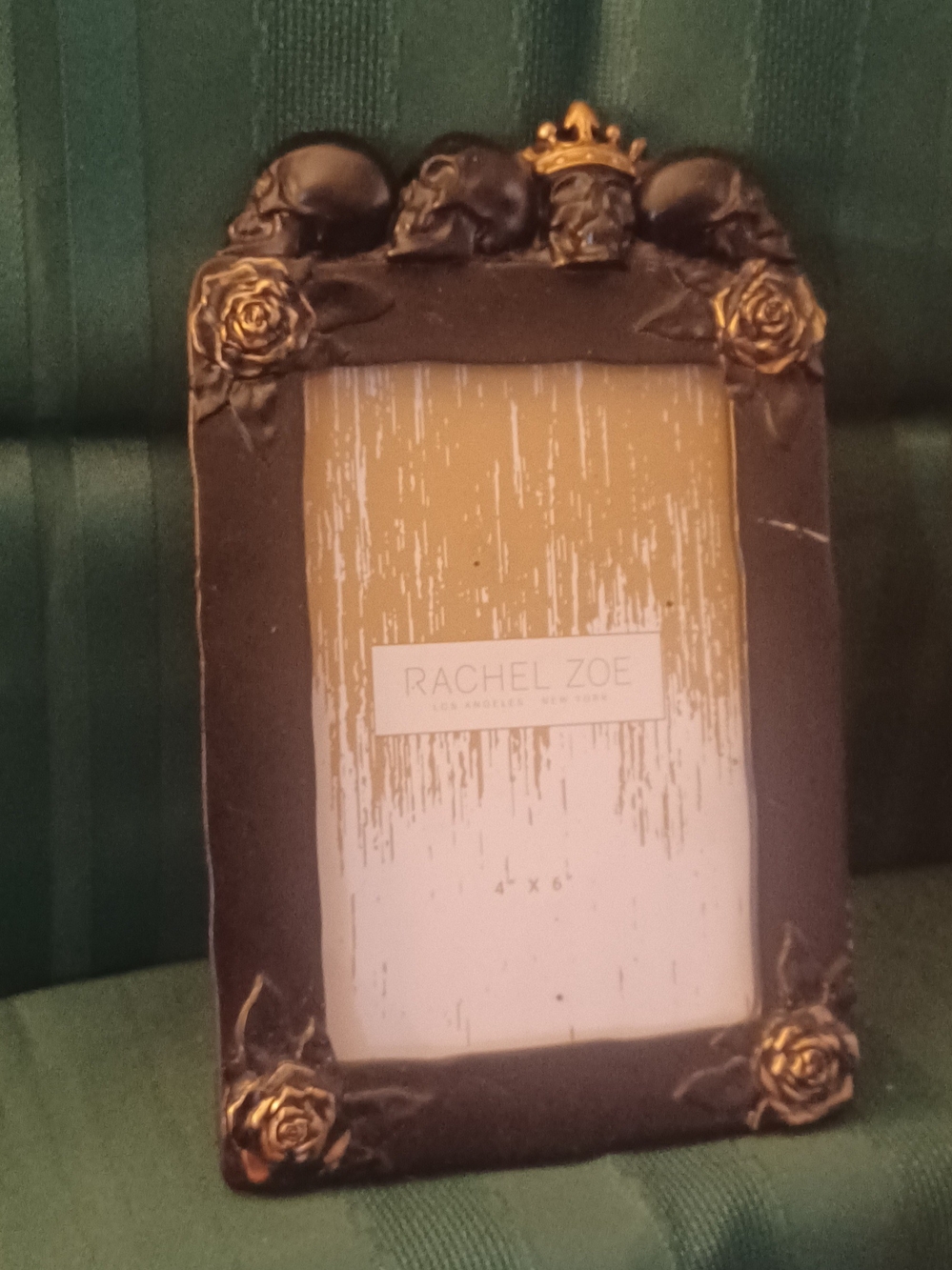 Rachel Zoe Black and Gold Skull & Rose Accent Frame